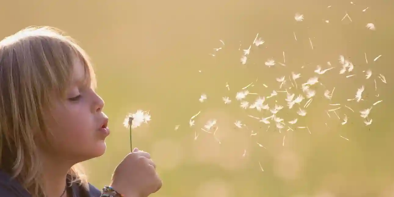The Gift of a Quiet Summer