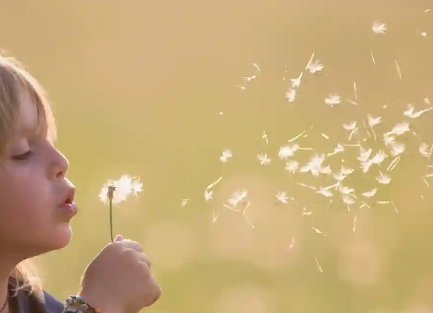 The Gift of a Quiet Summer